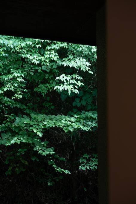 『花の影』カップル、ご友人、ご家族利用完全貸切!広々テラス露天風呂付!ポーラ美術館徒歩5分
