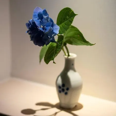 『花の影』カップル、ご友人、ご家族利用完全貸切!広々テラス露天風呂付!ポーラ美術館徒歩5分 Apartment Hakone Exterior photo
